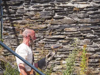 Roofvogelshow in Château de La Roche-en-Ardenne (België)